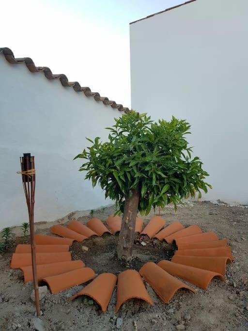 Вилла Casa Da Enxota Povoa de Sao Miguel Экстерьер фото